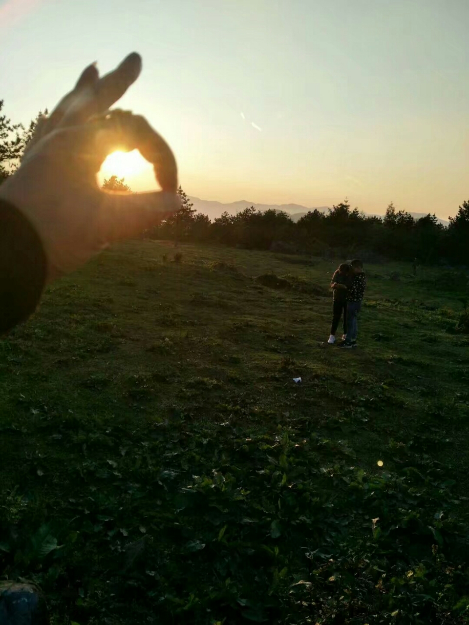 20180618_146303_1529313020861.jpg