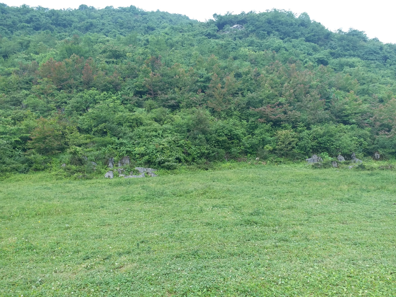 20180620_125046_1529456396302.jpg