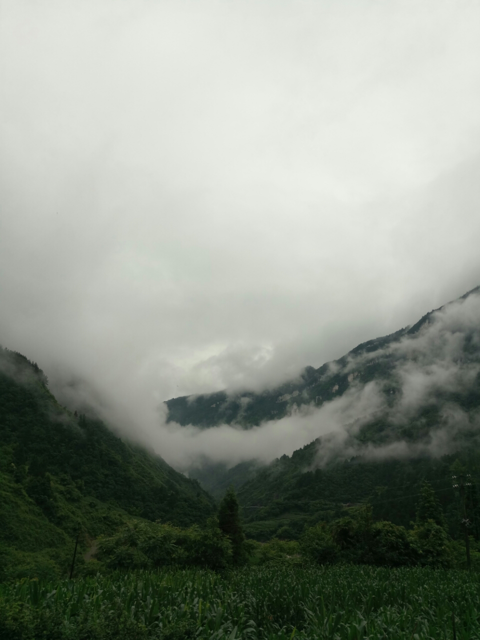 20180622_113219_1529664594835.jpg