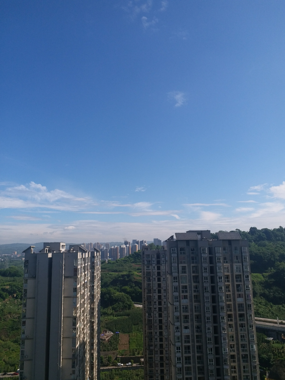 20180625_125046_1529923086525.jpg