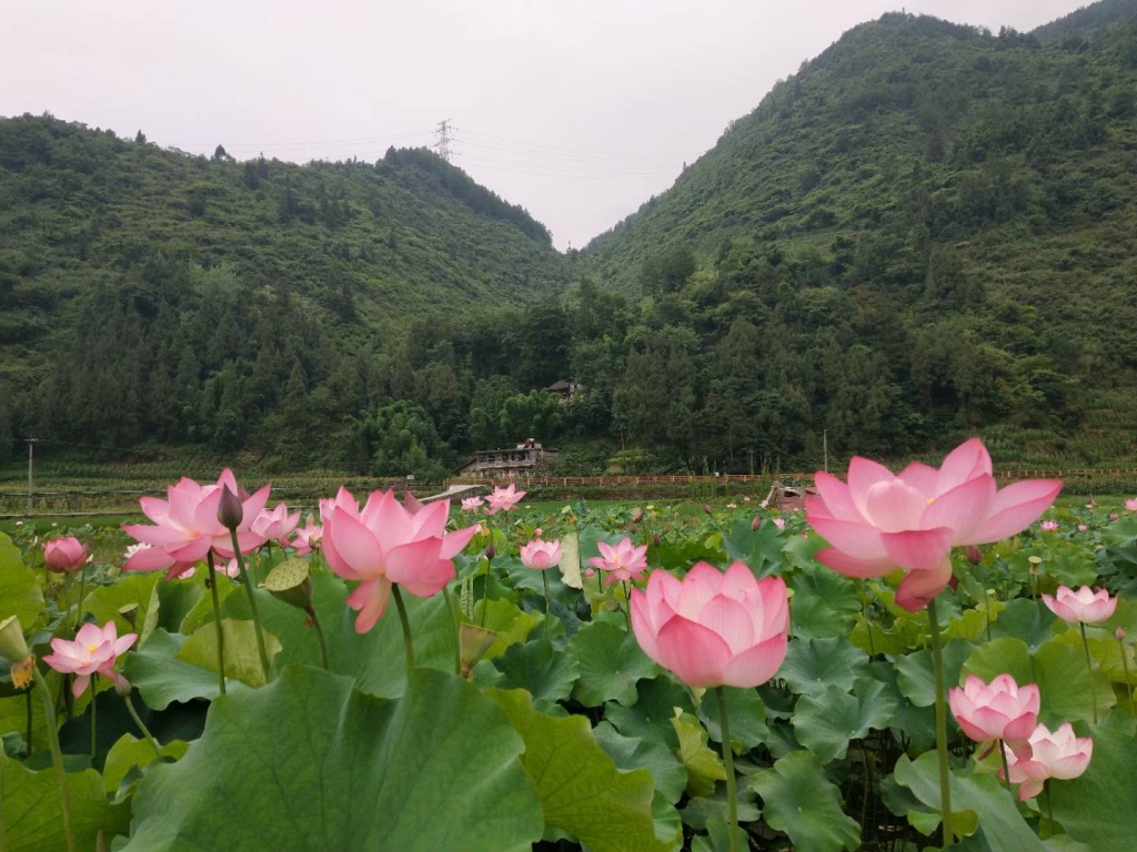 微信图片_20180630155757.jpg