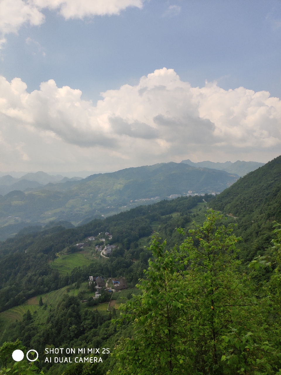 20180803_102942_1533278606590.jpg