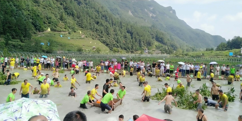 微信图片_20180805154627_副本.jpg