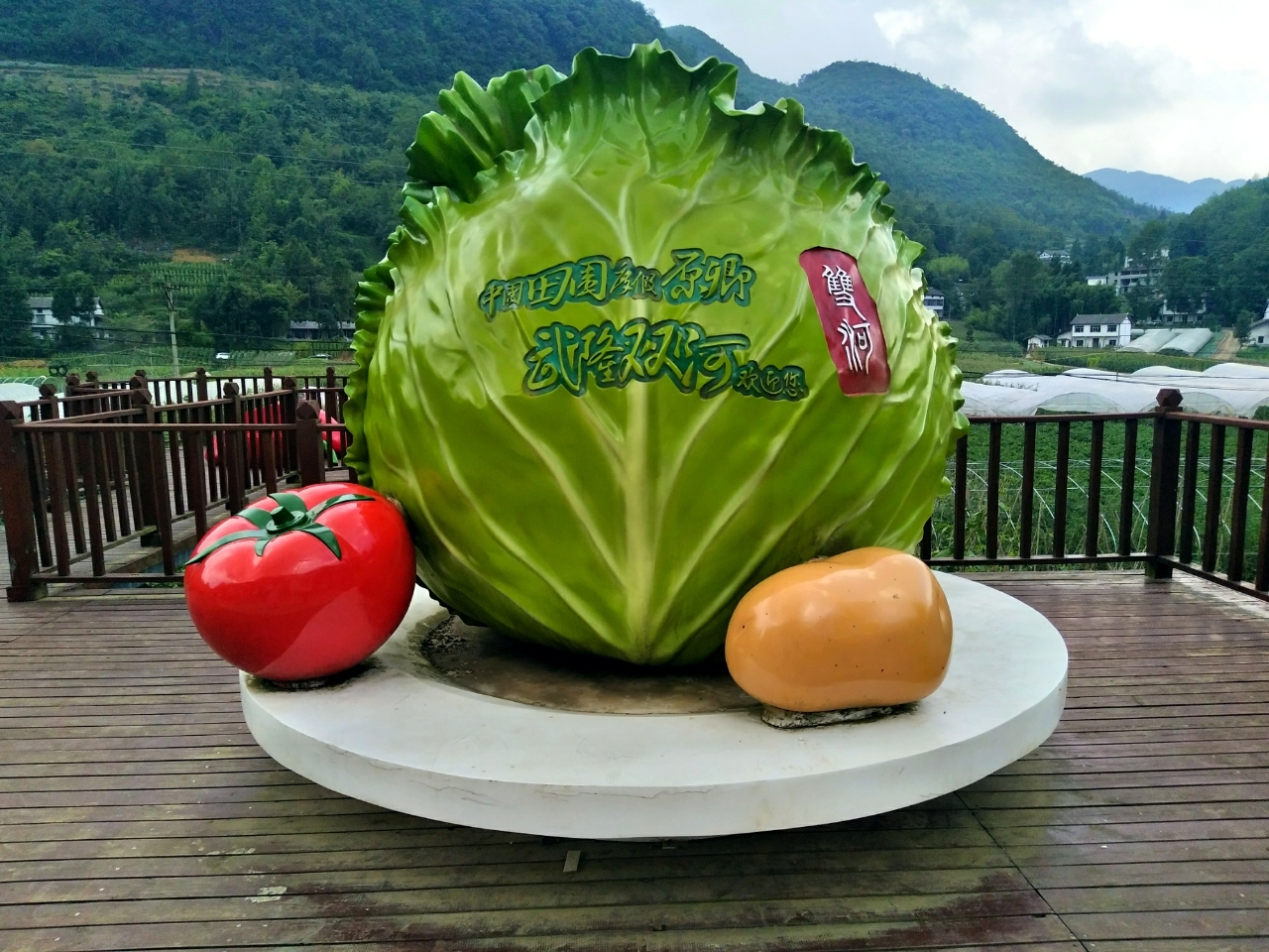 20180809_111155_1533825715459.jpg