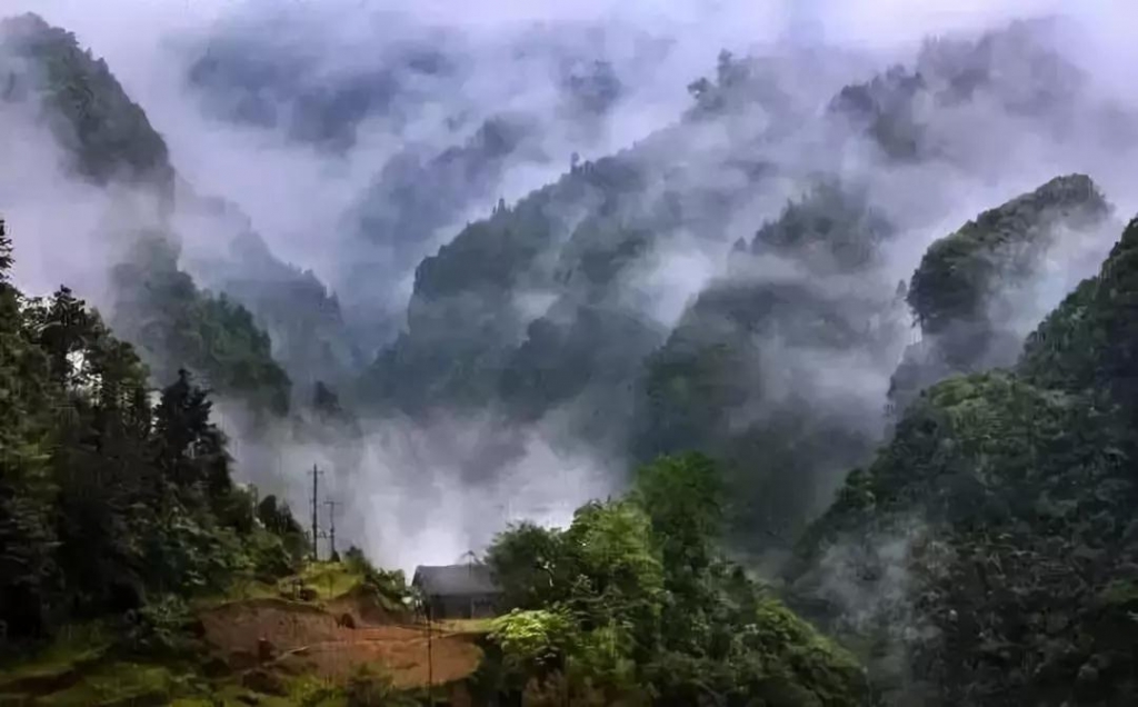 微信图片_20180813091314.jpg
