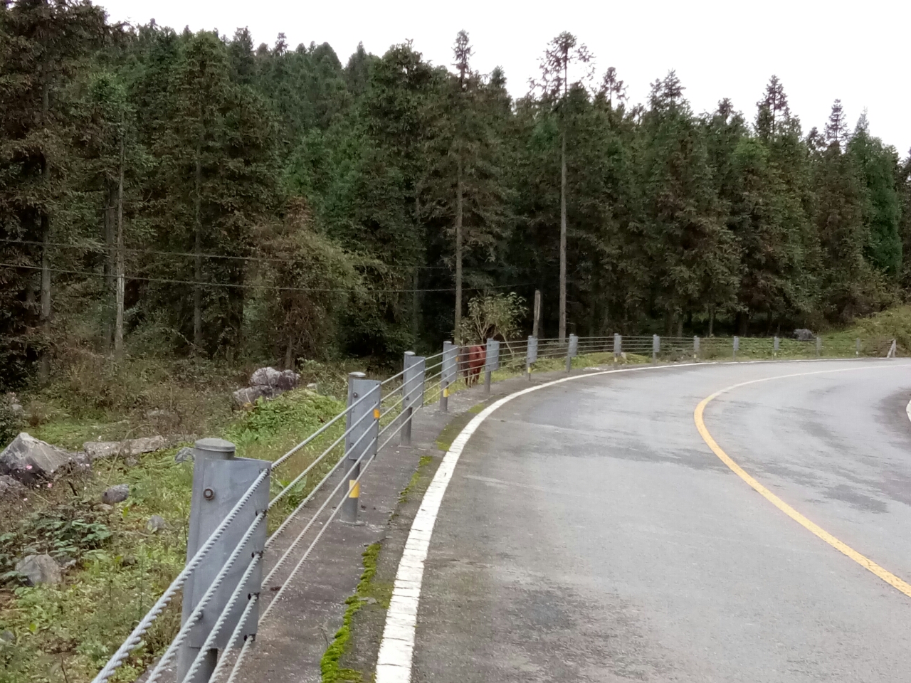 20181001_125703_1538392178478.jpg