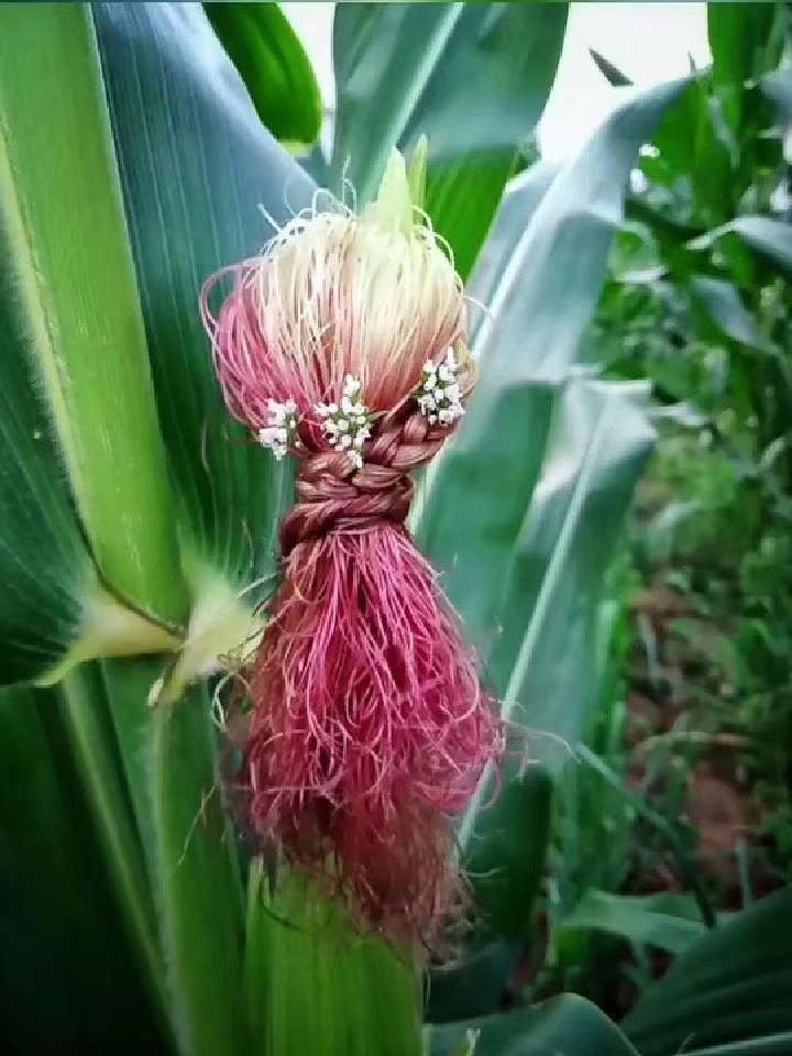 20190623_109447_1561292868369.jpg