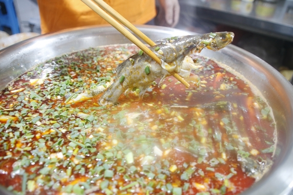 _MG_4619_副本.jpg