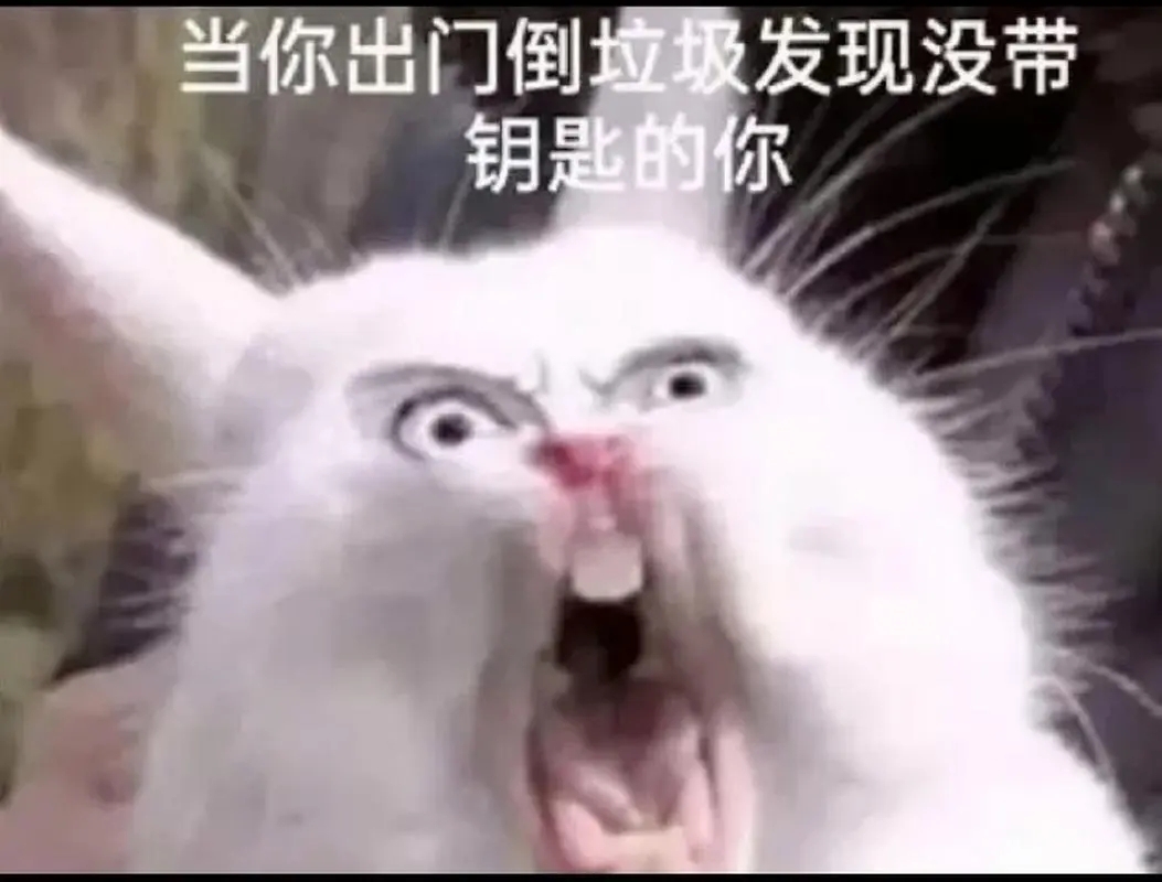 u=3399851723,2558833715&fm=253&fmt=auto.webp.jpg
