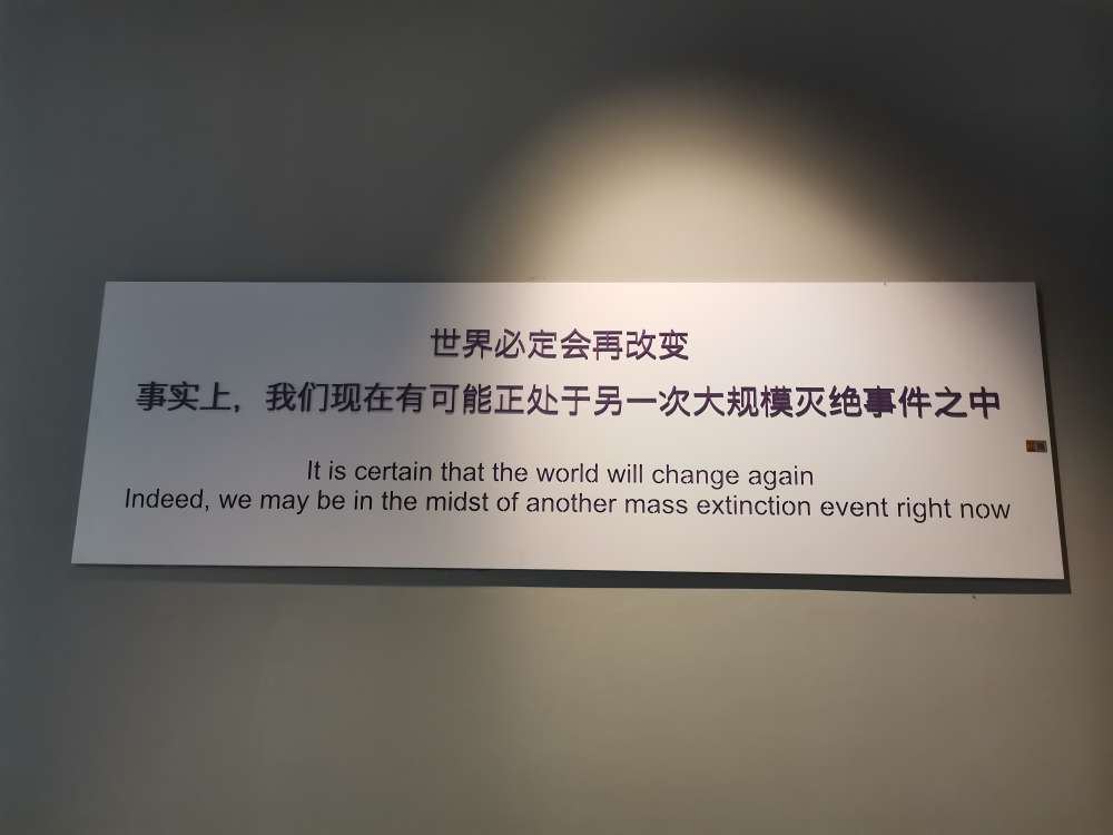 20230812184604front2_0_260405_FoBfXkR8V0GPGgPgqZHbbDFqWtfd.jpg