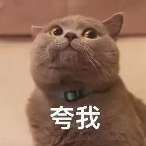174043qnycmgnd0gmny6na.jpeg
