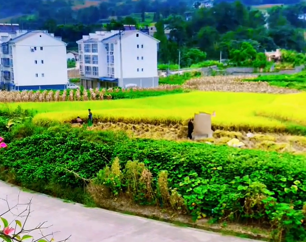 微信截图_20230818162142.png