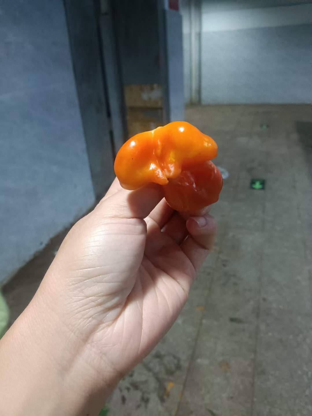 微信图片_20230821105232.jpg