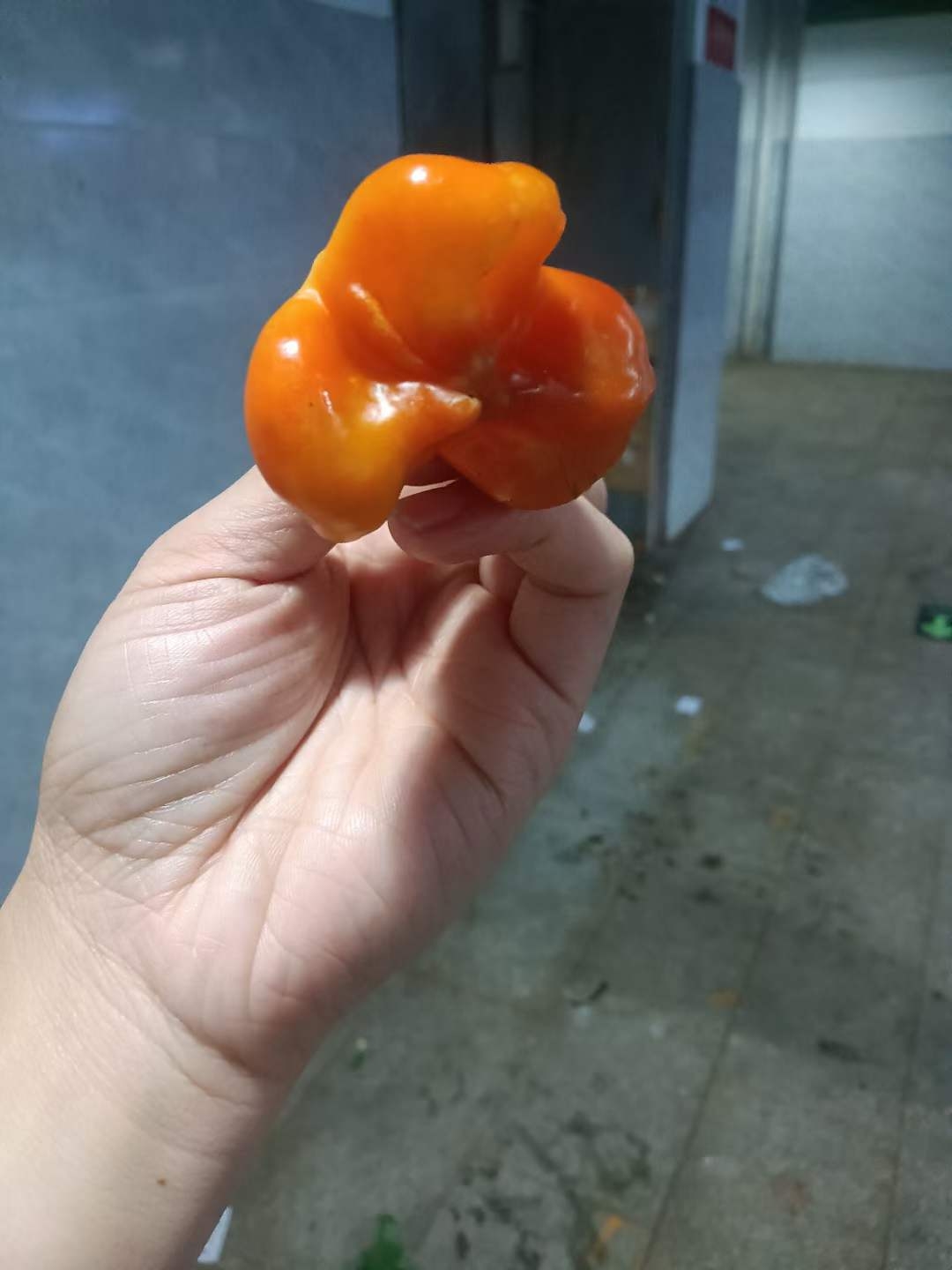 微信图片_20230821105223.jpg