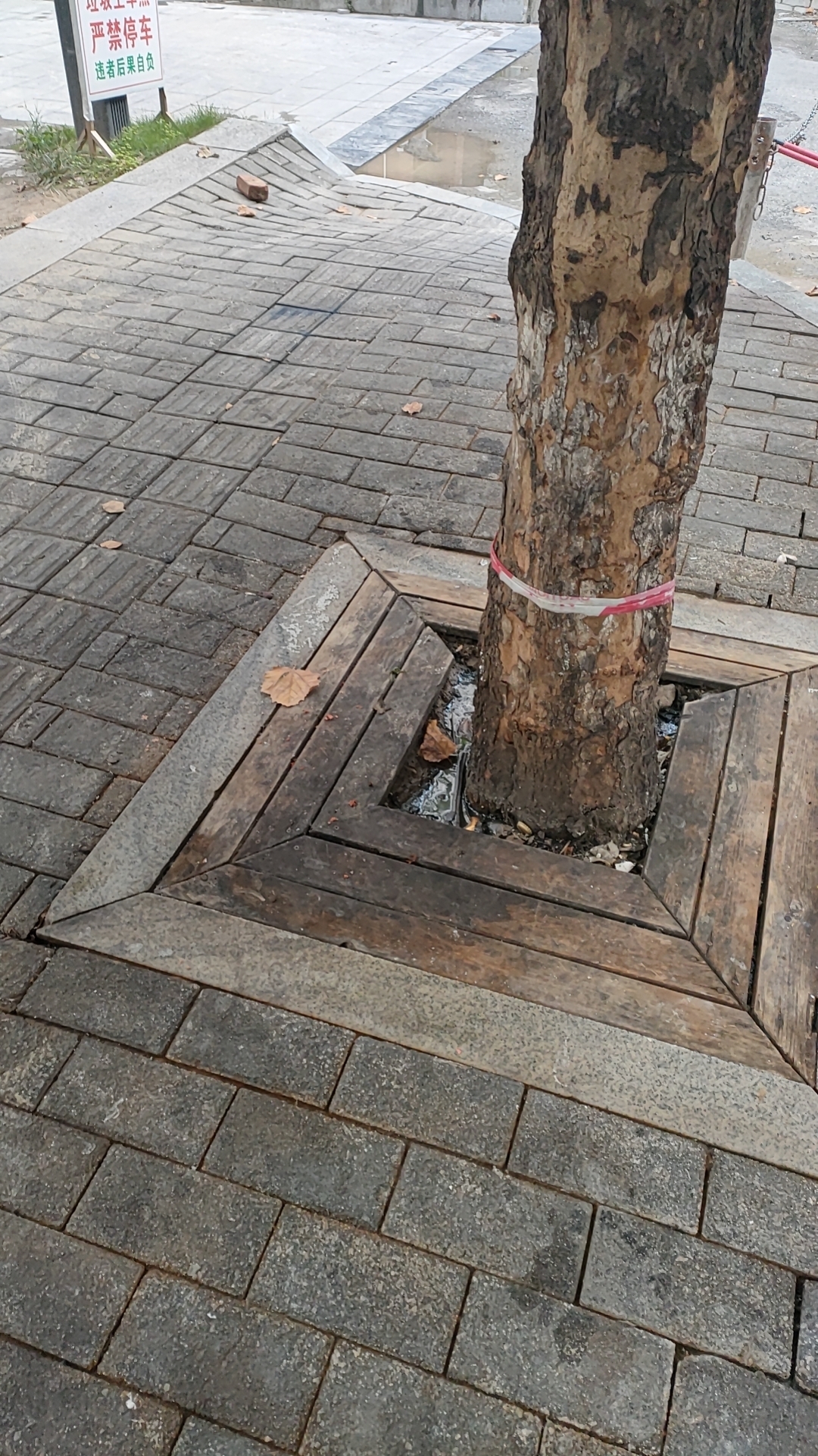 微信图片_20231010173114.jpg