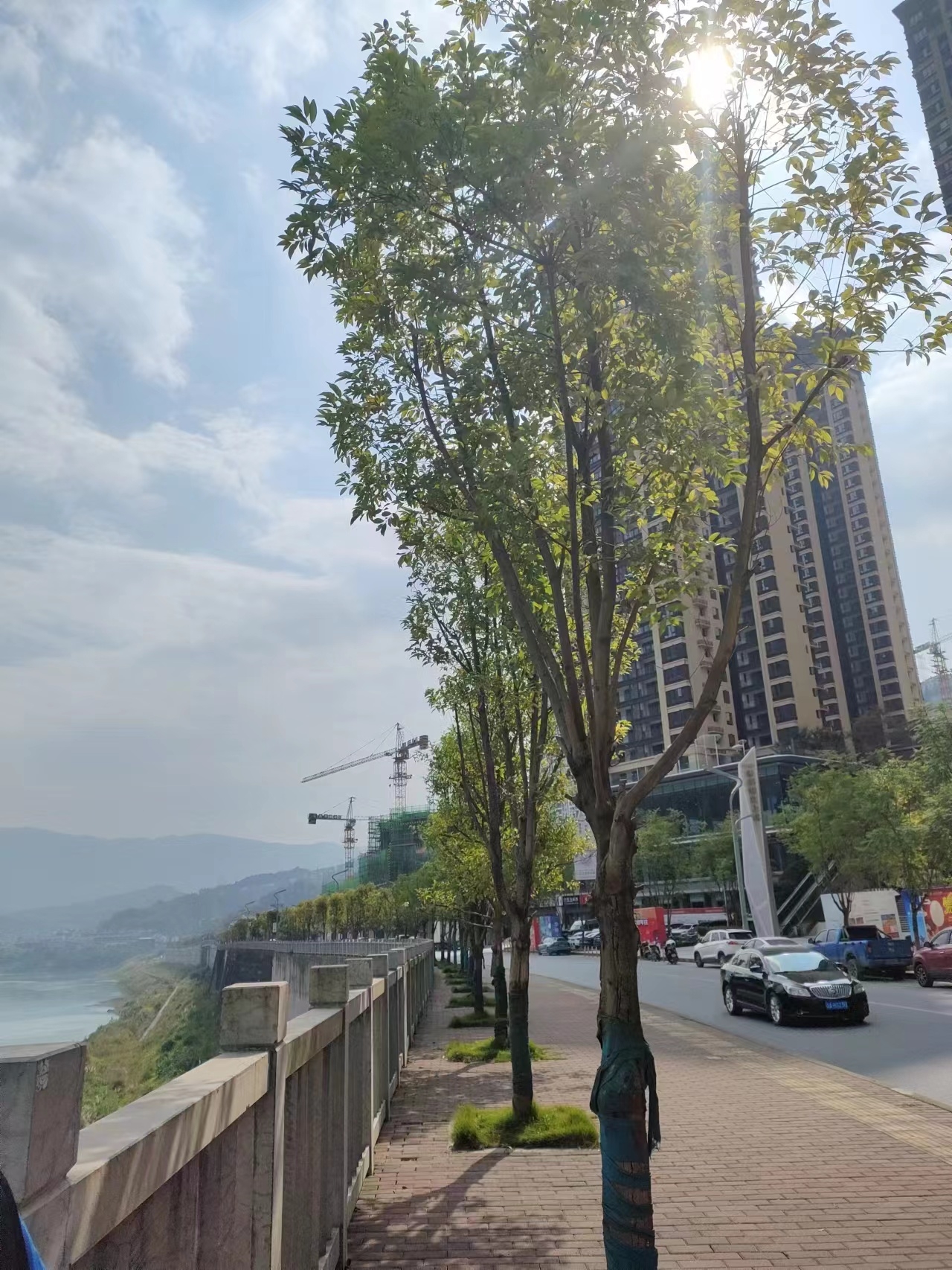 微信图片_20231018160334.jpg