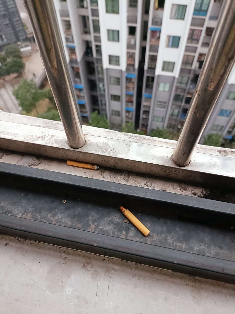 145030xpaan1l5sdqs11f7.jpeg