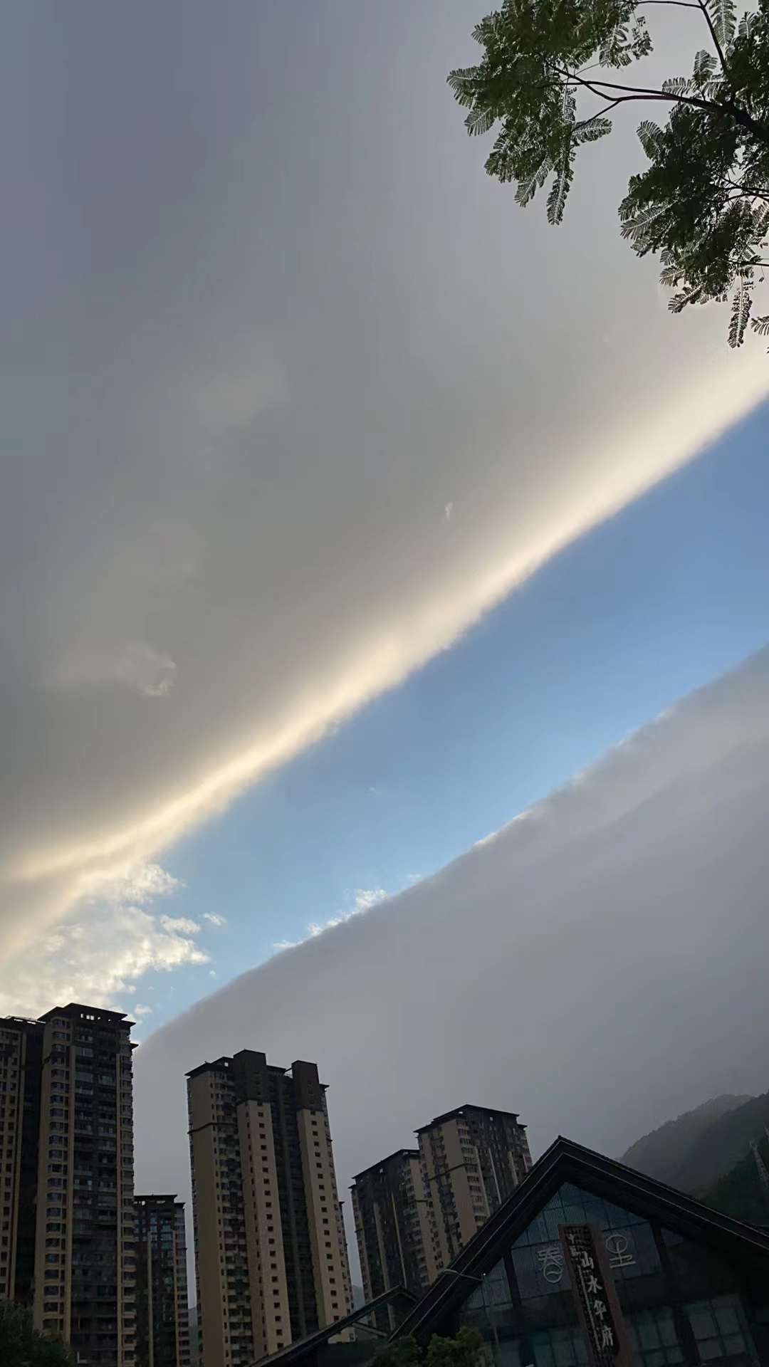 180200px73qa1wn87kzxqg.jpeg