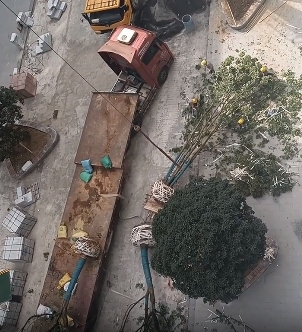 微信截图_20231020150622.png