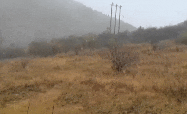20231020144124front2_0_73328_FgUDngBXexAfejI7w-qSXqtuh_an.gif