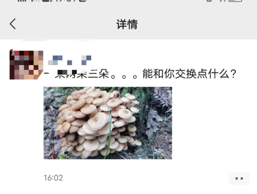 微信图片_20231021170217.jpg