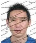 112040ibhhvcnfqojqdgo3.jpeg