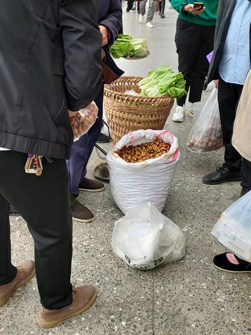 微信图片_20231107155259.jpg