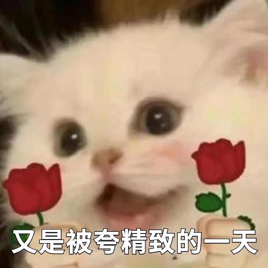 162724zsuozs74u33334u7.jpeg