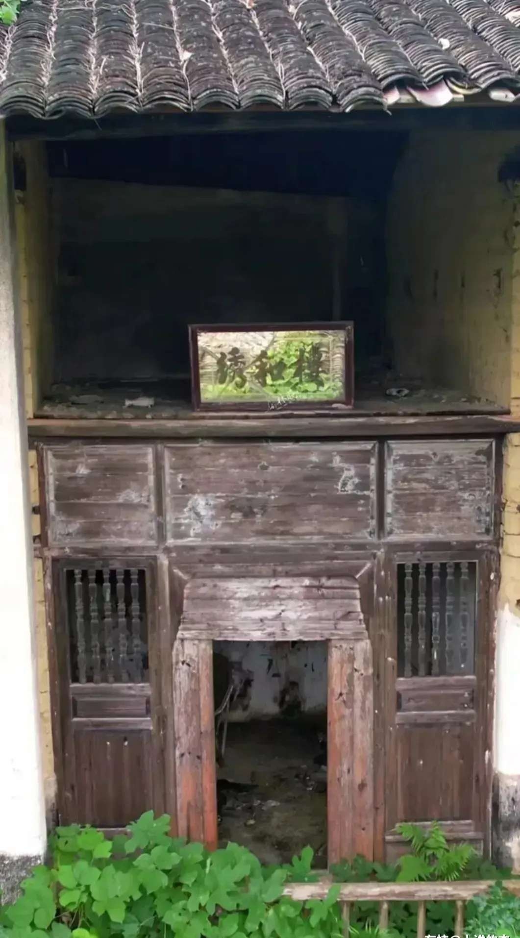 164934tthvrodhzatgj881.jpg