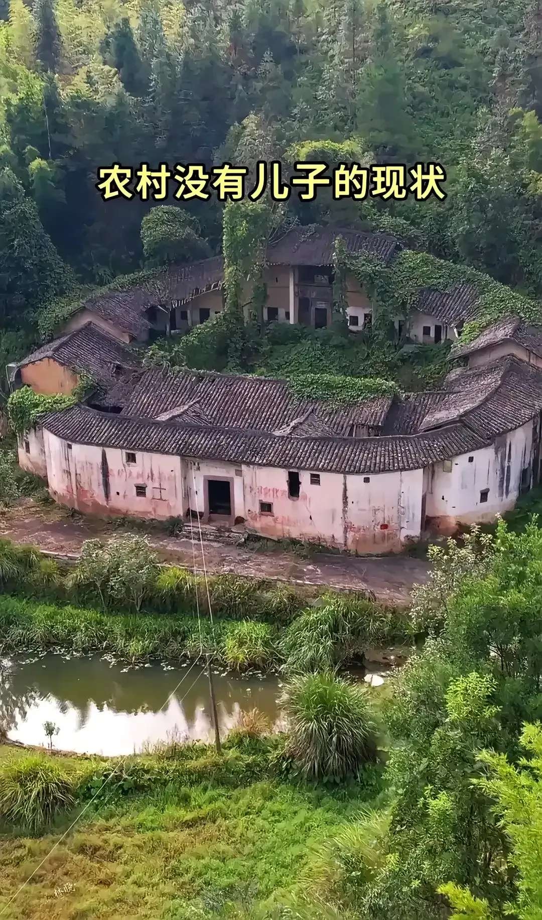 164935fz2jrsj7ab984z4r.jpg
