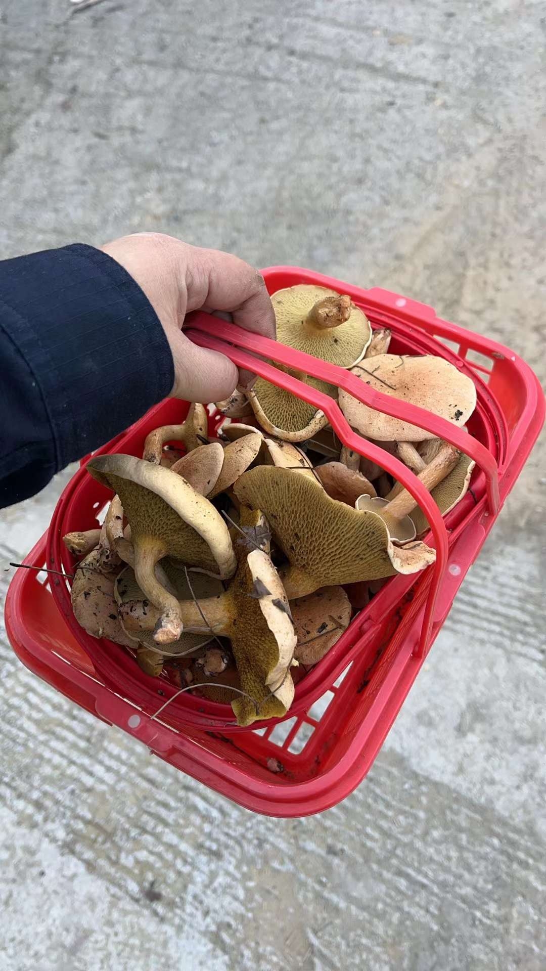 微信图片_20231127144831.jpg