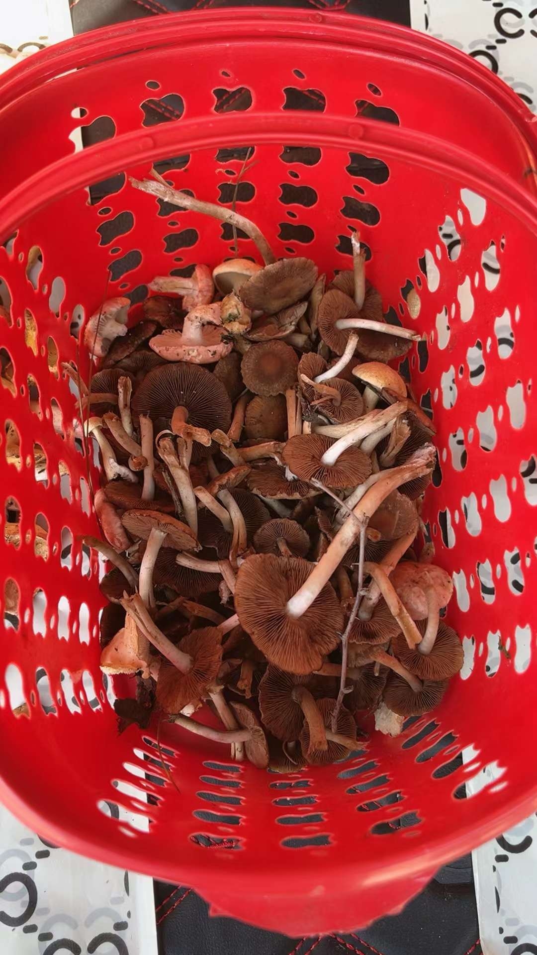 微信图片_20231127144838.jpg