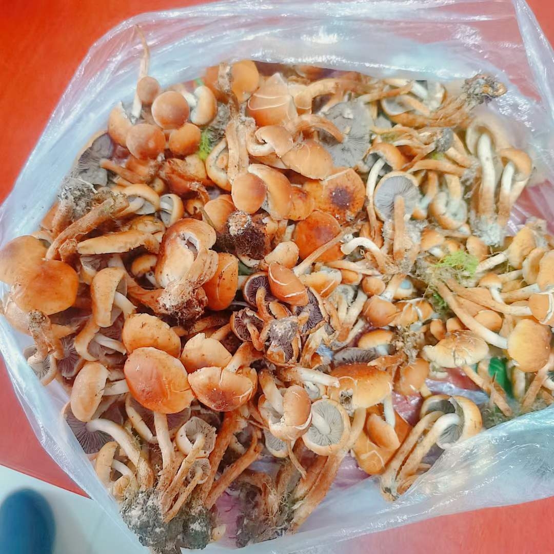 微信图片_20231129104337.jpg
