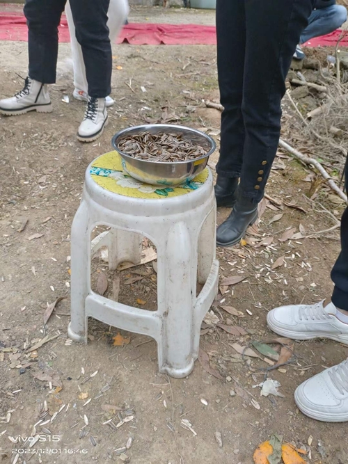 微信图片_20231201173904.jpg