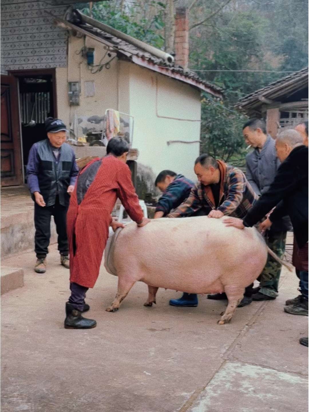 1.jpg