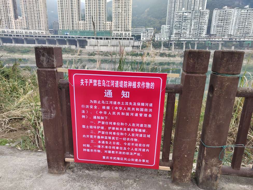 150534f6kt6flfywl6zet6.jpeg