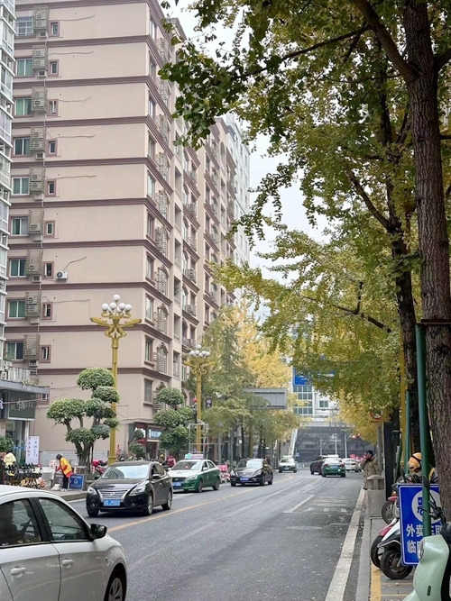 微信图片_20231209155243.jpg