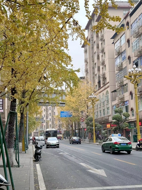 微信图片_20231209155249.jpg