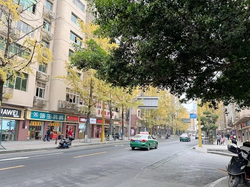 微信图片_20231209155252.jpg