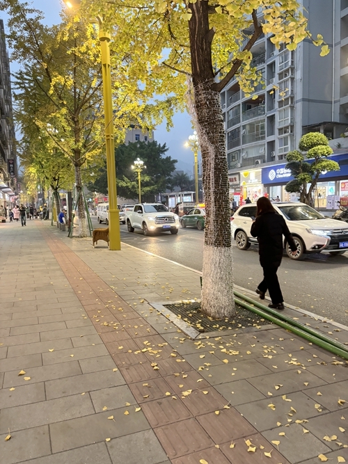 微信图片_20231211090756.jpg