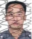 144140xupg1miiom2qukf1.jpeg