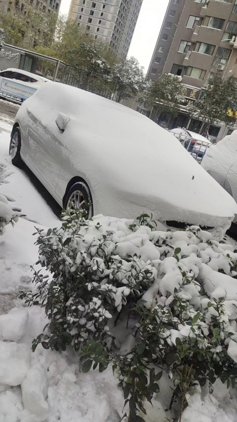 114132vu6izgzz460z66ig.jpg