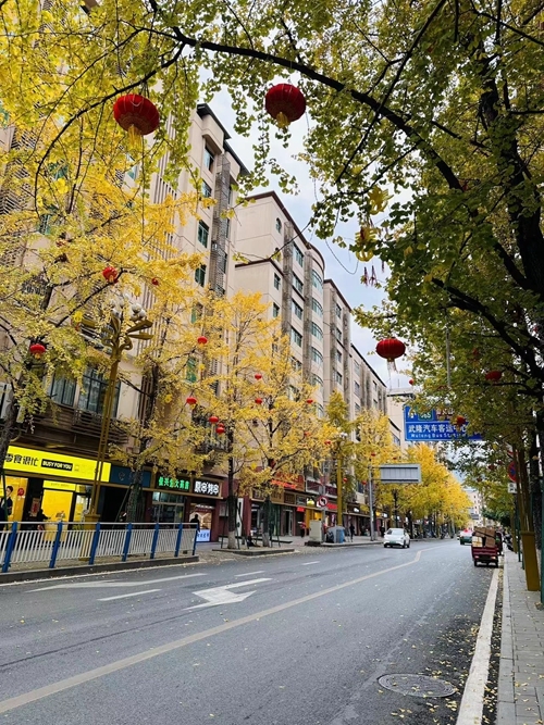 微信图片_20231213160812.jpg