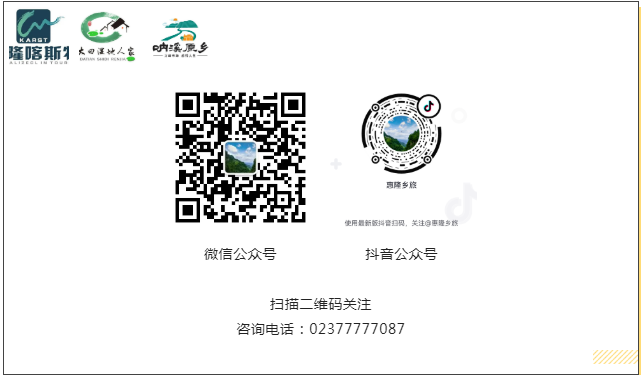 172513gleevefccsennn88.png