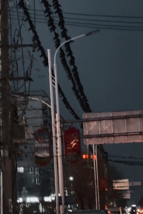 微信截图_20231219091040.png