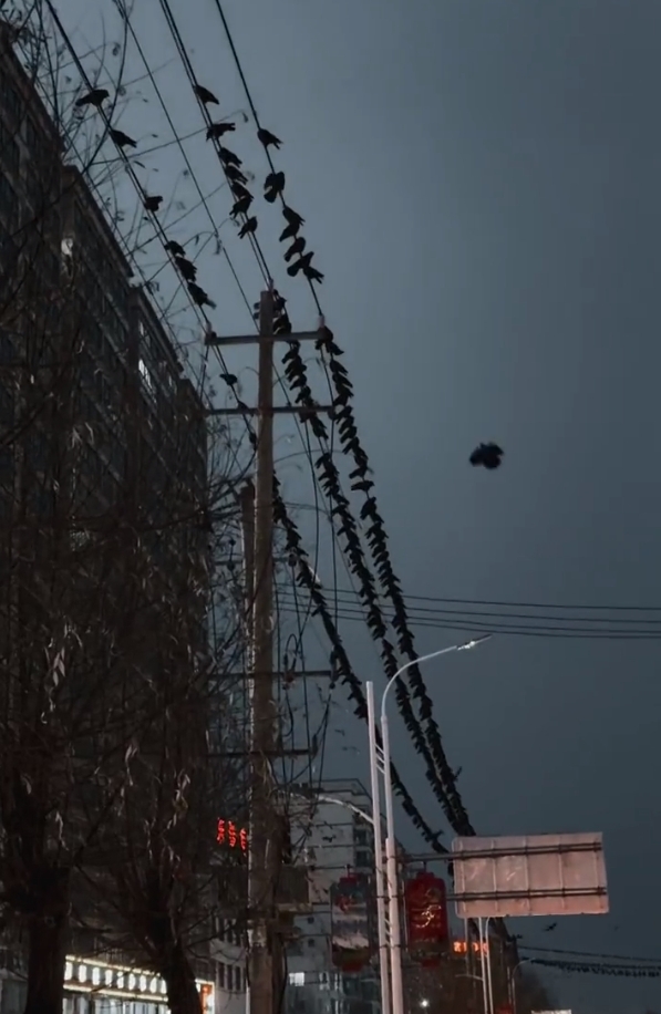 微信截图_20231219091055.png