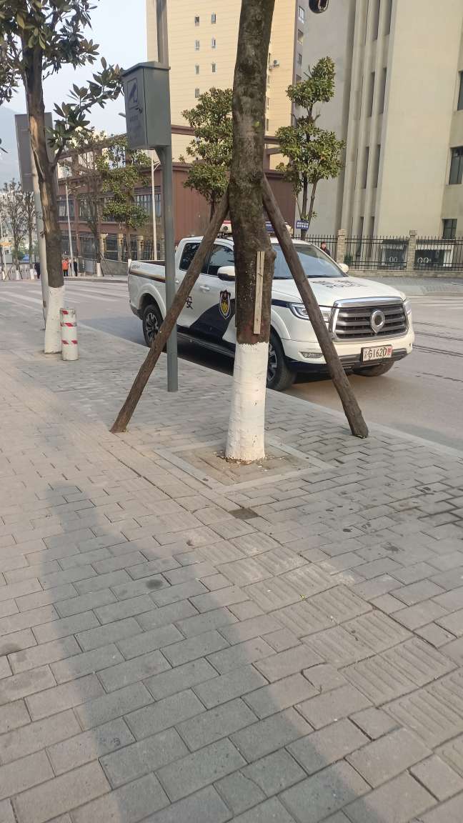 154514jg66see14eegri16.jpeg