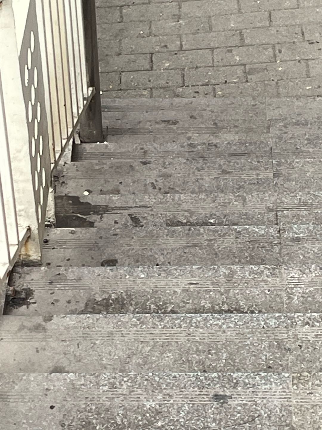 115303sncaf9wqqrbhhi8c.jpeg
