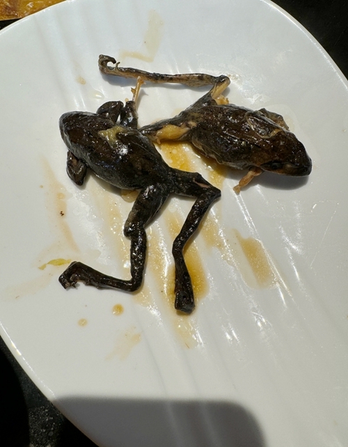 middle_3024x4032-161436_v3_16111703751276407_ec8d82f21da2b3ec069aca62d411fef8.jpg