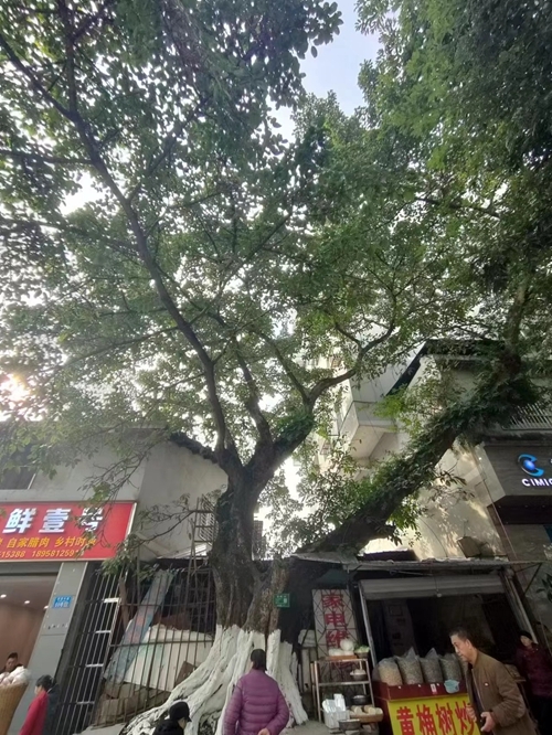 微信图片_20240106110323.jpg
